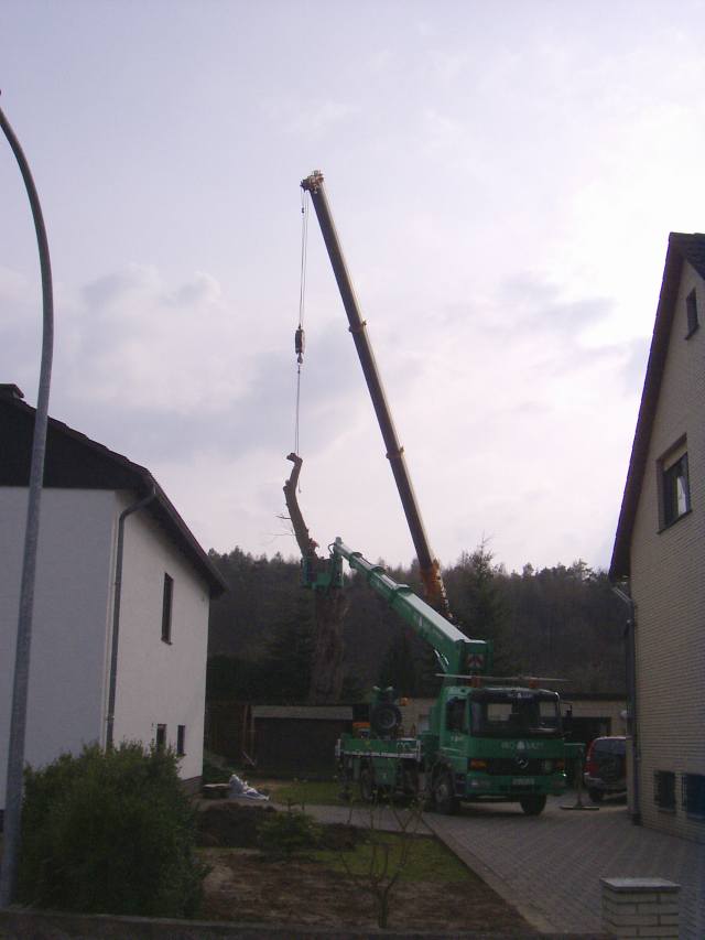 Autokran hilft aus