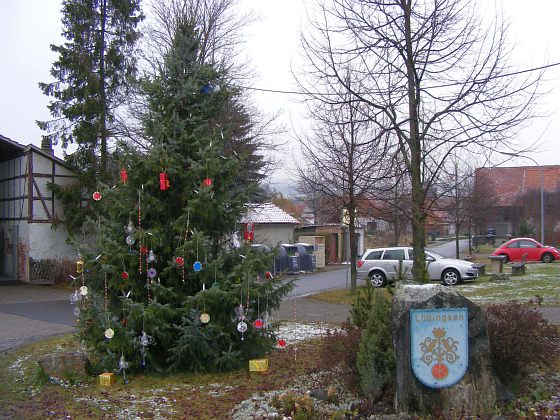 Weihnachtsbaum von L&ouml;dingsen - festlich geschm&uuml;ckt